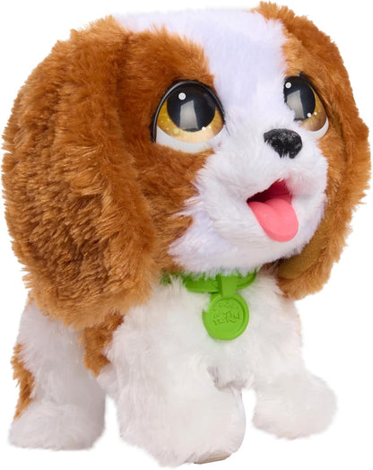 Just Play furReal Poop-A-Lots Cavalier King Charles Spaniel Brinquedo Interativo para Crianças, Alimentação e Passeio, Inclui Coleira e Pá para Cocô, Idade Recomendada: 4 anos ou mais