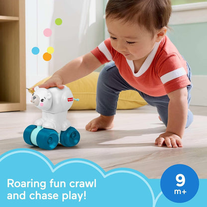 Brinquedo Fisher-Price Baby: Urso Polar Engatinhando, Veículo de Atividades com Tema Animal e Detalhes Sensoriais para Bebês a partir de 9 Meses, JDL63