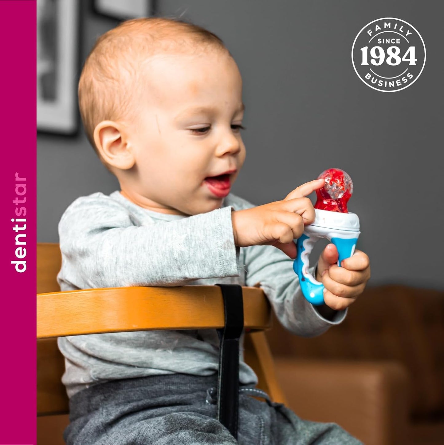 dentistar Comedouro de silicone para frutas e vegetais para bebês - a partir de 6 meses - pacote de 2 - conjunto de 5 peças (tampa protetora, tetina de silicone, rede, anel de parafuso, alça) - sem BPA - azul