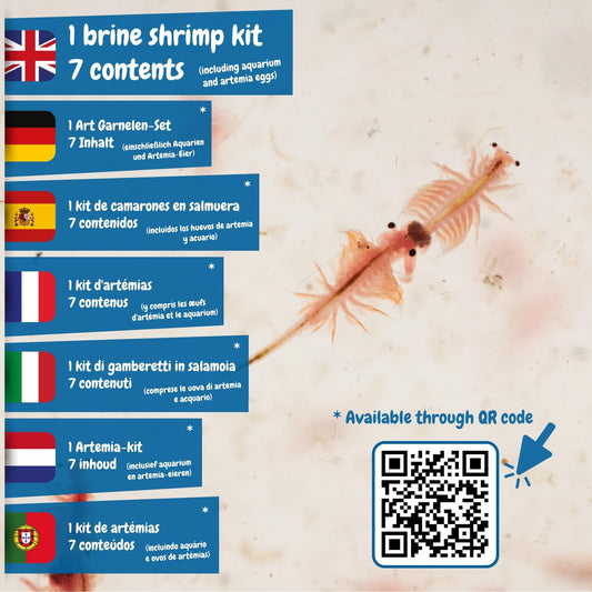 Science4you Kit de incubação de camarão de salmoura - Artemias Criaturas marinhas jurássicas - Inclui ovos de camarão de salmoura e pequeno aquário - Crie um ecossistema