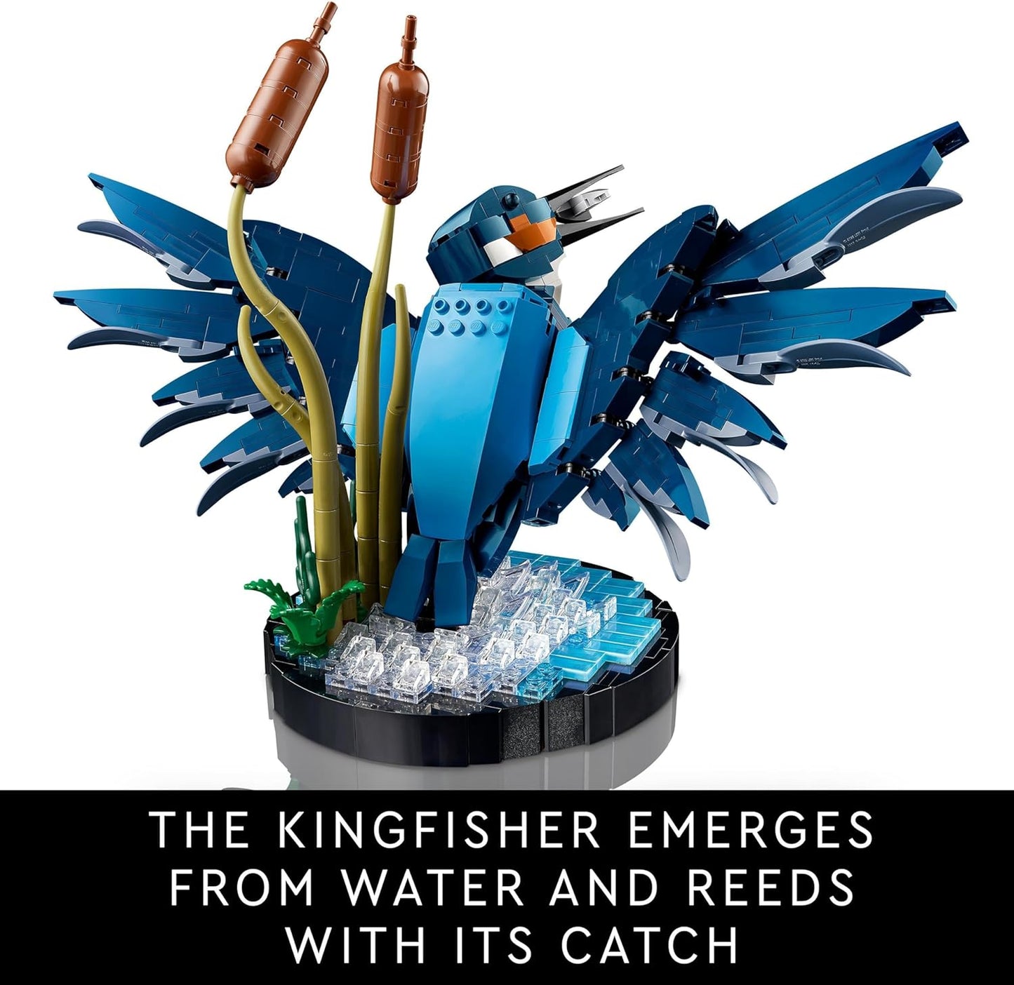 LEGO Conjunto de pássaros Kingfisher Icons, kit de construção de modelo para adultos construir com suporte de exibição de configuração de água, ótima decoração de mesa para casa e escritório, presentes de dia dos namorados para mulheres,