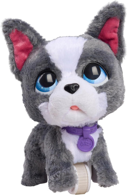 furReal Walk-A-Lots Bulldog Francês, Cachorro de Brinquedo Interativo de 10 cm de Altura, para Meninos e Meninas a partir de 4 Anos, da Just Play