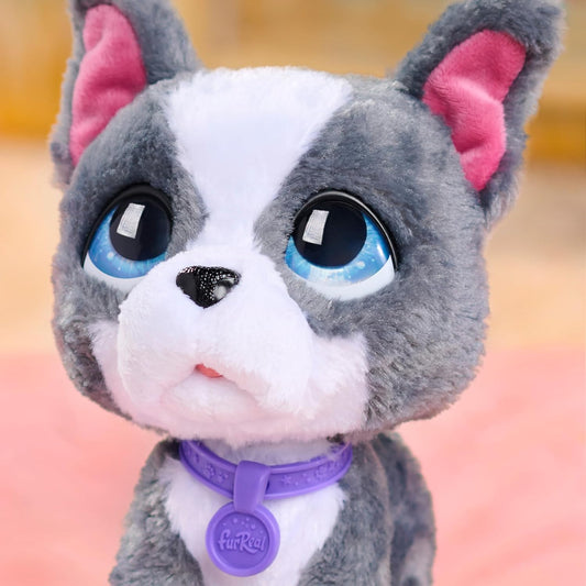 furReal Walk-A-Lots Bulldog Francês, Cachorro de Brinquedo Interativo de 10 cm de Altura, para Meninos e Meninas a partir de 4 Anos, da Just Play