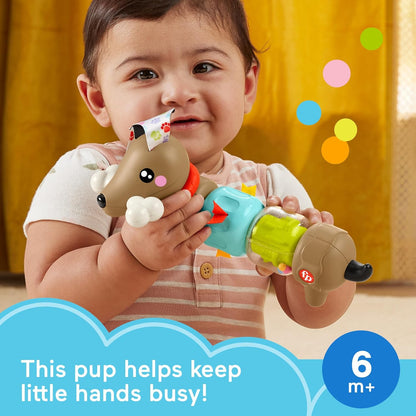 Brinquedo sensorial para bebês Fisher-Price FP Pets Click & Spin, cachorrinho com atividades de coordenação motora fina para bebês a partir de 6 meses, HTW91