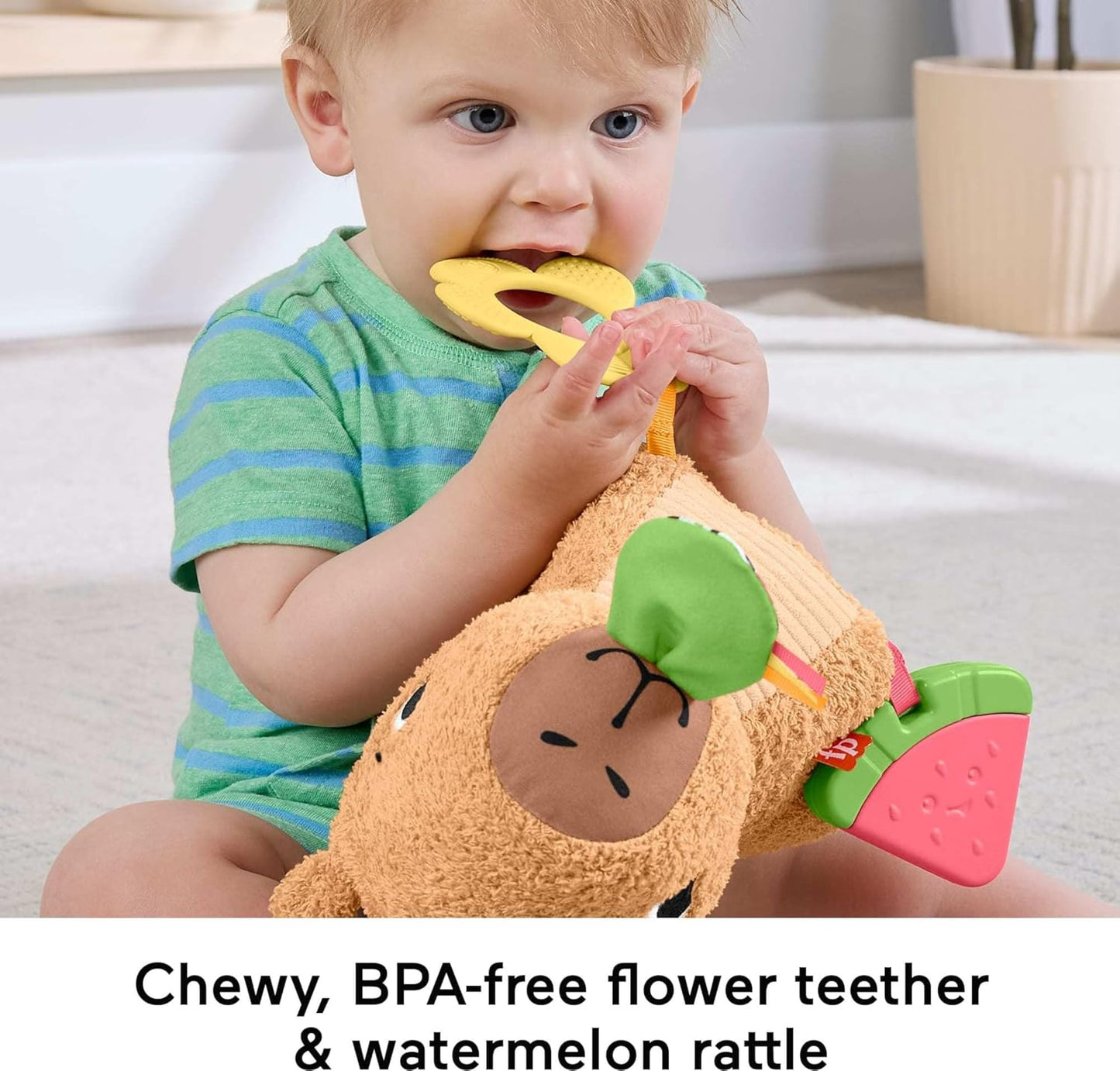 Fisher-Price Brinquedo sensorial para bebês, Capivara de pelúcia Snuggly Snacky com mordedor e chocalho para bebês a partir de 3 meses, HYR54