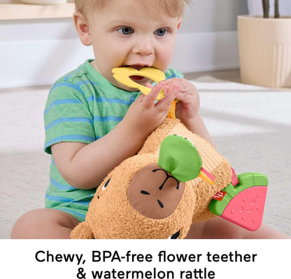 Fisher-Price Brinquedo sensorial para bebês, Capivara de pelúcia Snuggly Snacky com mordedor e chocalho para bebês a partir de 3 meses, HYR54