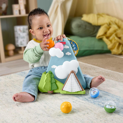Fisher-Price Brinquedo para Bebê Floresta da Amizade com Bolas e Montanha, Brinquedo de Atividades para Bebês a partir de 9 Meses, JLB88