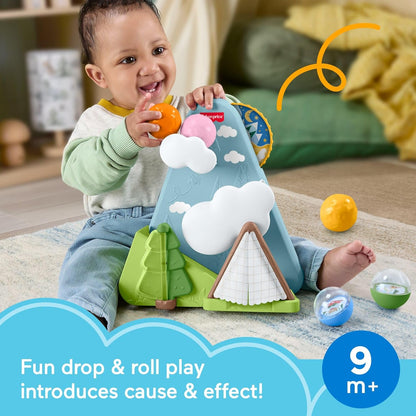 Fisher-Price Brinquedo para Bebê Floresta da Amizade com Bolas e Montanha, Brinquedo de Atividades para Bebês a partir de 9 Meses, JLB88