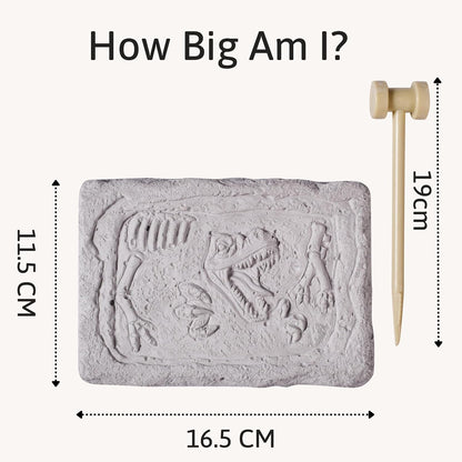 Jaques of London Dinosaur Toys - Kit de escavação de fósseis de dinossauros para meninos com ferramentas de escavação