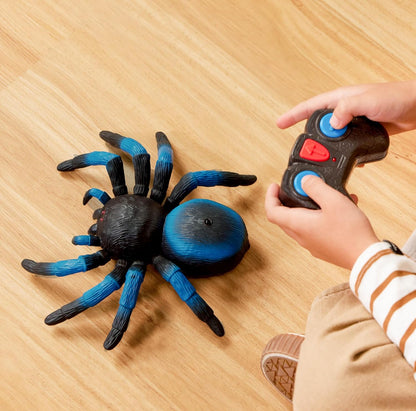 Terra by Battat – Tarântula de Controle Remoto para Crianças com Olhos de LED – Brinquedo de Aranha Realista com Pernas Móveis, Alta Velocidade e Giro de 360° – Animal Azul de Controle Remoto para Meninos e Meninas a partir de 6 Anos