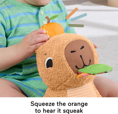 Fisher-Price Brinquedo sensorial para bebês, Capivara de pelúcia Snuggly Snacky com mordedor e chocalho para bebês a partir de 3 meses, HYR54