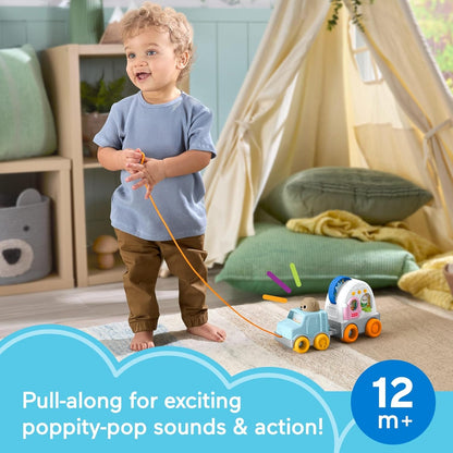 Fisher-Price Brinquedo para bebês e crianças pequenas: Veículo de reboque Friendship Forest com atividades sensoriais para bebês a partir de 1 ano de idade, JKD52