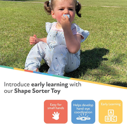 Nuby  Brinquedo de classificação de formas, multicolorido, tamanho único