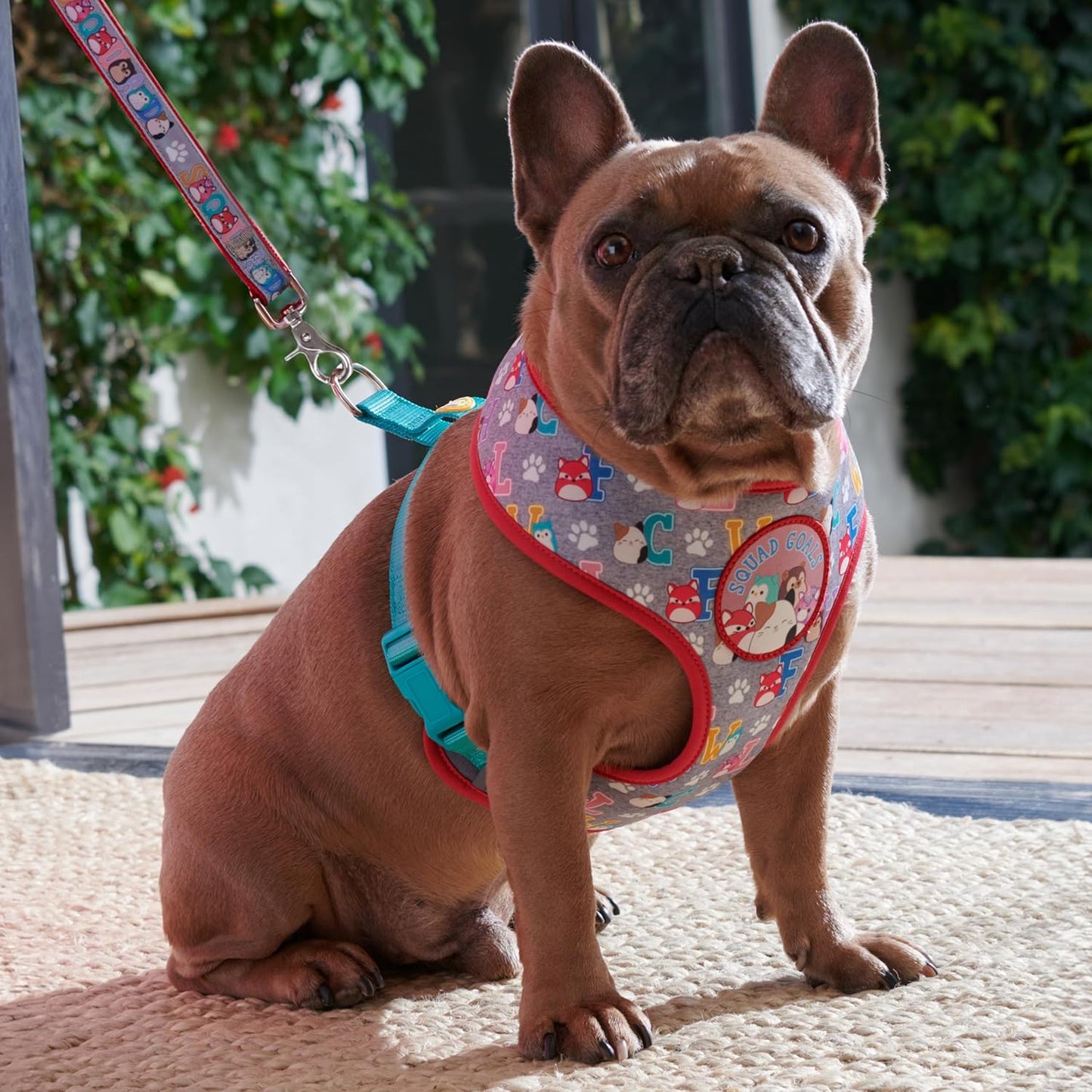 Squishmallows Arnês para animais de estimação Original Squad Goals (tamanho médio) - Roupa oficial para animais de estimação da Jazwares