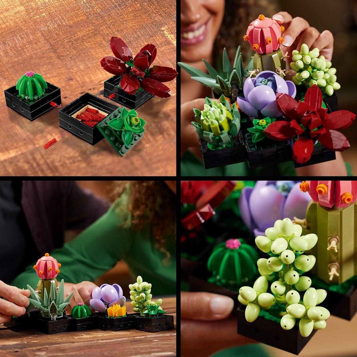 LEGO Botanicals Succulents - Construa 9 pequenas plantas artificiais - Conjunto de decoração de mesa para casa ou escritório para adultos - Ideia de presente para o Dia dos Namorados para mulheres e homens - Coleção botânica