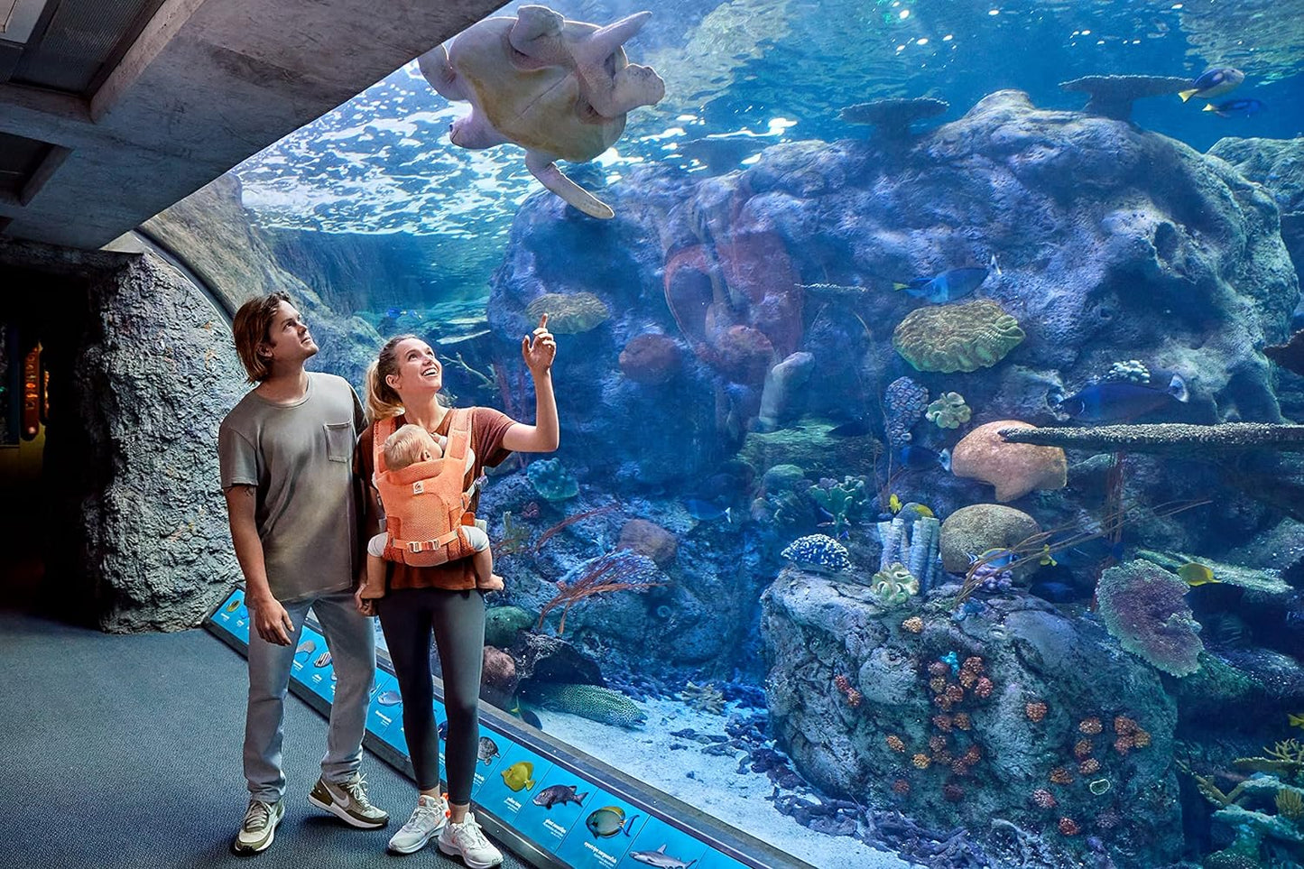 Ergobaby Porta-bebês Aerloom para recém-nascidos e crianças pequenas, 3 posições, porta-barriga ergonômico para bebês, porta-costas, porta-bebês feito de material Formaknit, coral âmbar