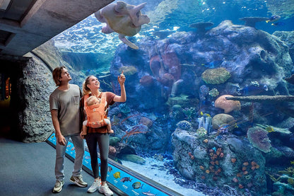 Ergobaby Porta-bebês Aerloom para recém-nascidos e crianças pequenas, 3 posições, porta-barriga ergonômico para bebês, porta-costas, porta-bebês feito de material Formaknit, coral âmbar