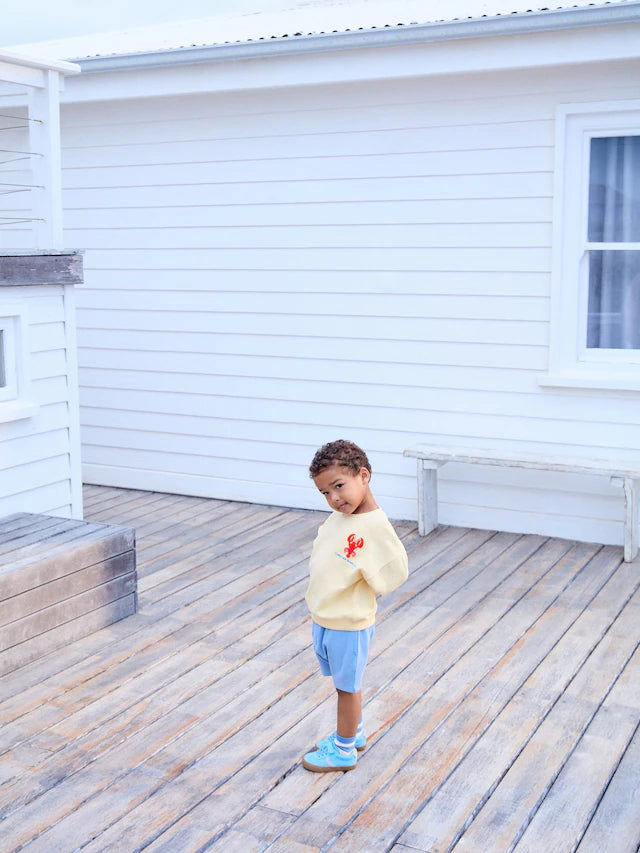 |Boy| Conjunto De Moletom e Shorts 100% Algodão Com Estampa De Lagosta Amarela/Azul (3 meses a 7 anos)