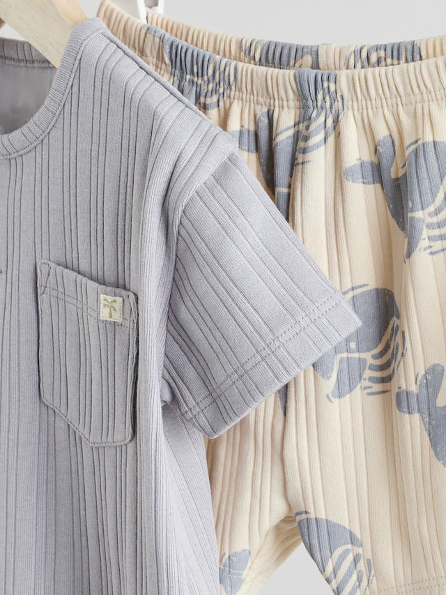 |BabyBoy| Conjunto De Camiseta e Shorts Blue Whale Baby