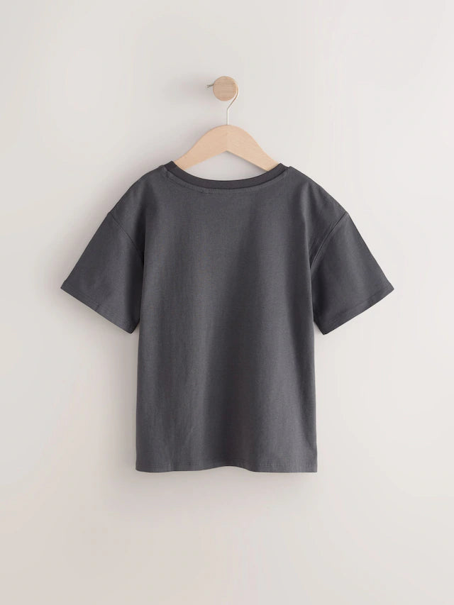 |BigBoy| Camiseta Cinza The Beatles Com Licença Grande 100% Algodão (3 a 16 anos)