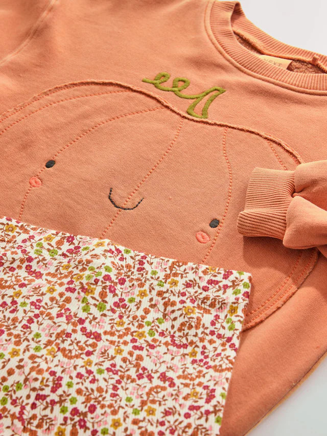 |Girl| Conjunto De Moletom e Leggings De Abóbora Laranja De Halloween (3 meses a 7 anos)