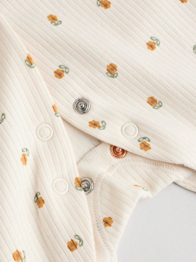 .BORRADOR |BabyBoy| Modelo Modelo Modelo (0 meses a 3 años)