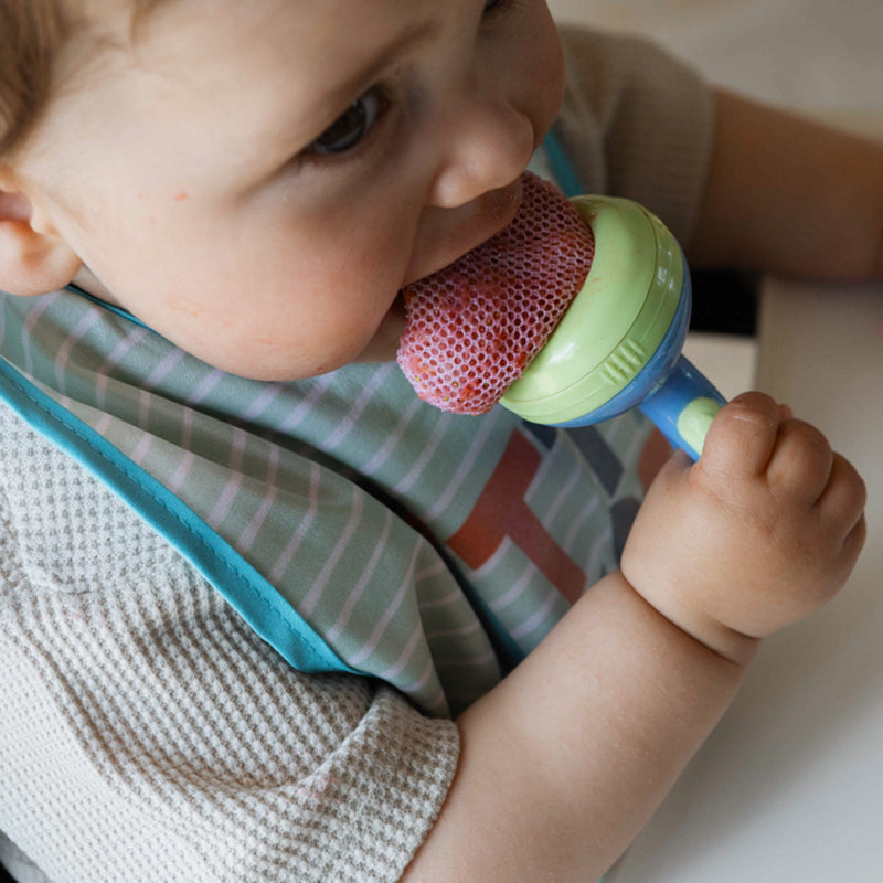 Nuby Alimentador de frutas Baby Nibbler, seguro para introdução alimentar e mordedor.