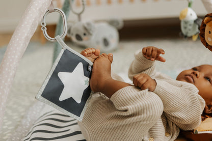 Nuby O ginásio de atividades Animal Adventures estimula as habilidades motoras finas do bebê.