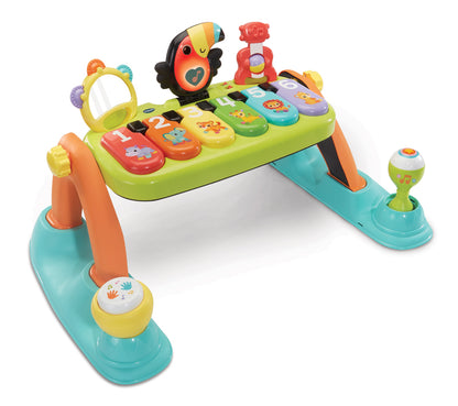 VTech Ginásio de atividades 5 em 1 Toucan Tunes