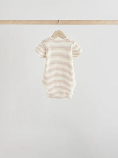 .BORRADOR |BabyBoy| Modelo Modelo Modelo (0 meses a 3 años)