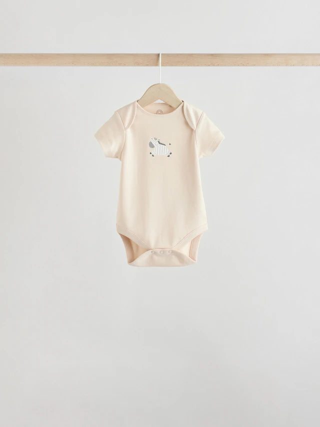 .BORRADOR |BabyBoy| Modelo Modelo Modelo (0 meses a 3 años)