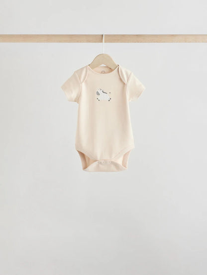 .BORRADOR |BabyBoy| Modelo Modelo Modelo (0 meses a 3 años)