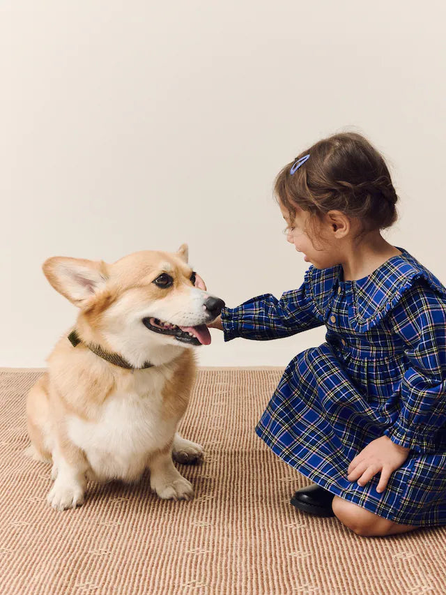 |Girl| Vestido Xadrez Azul Cobalto Com Gola Longa e Manga Comprida (3 meses a 8 anos)