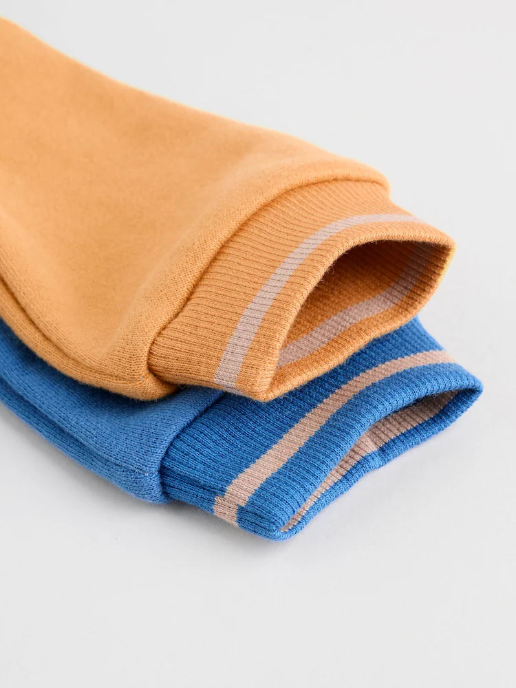 |BabyBoy| Conjunto De Blusa e Calça De Moletom Bright Little Cub Baby (0 meses a 2 anos)