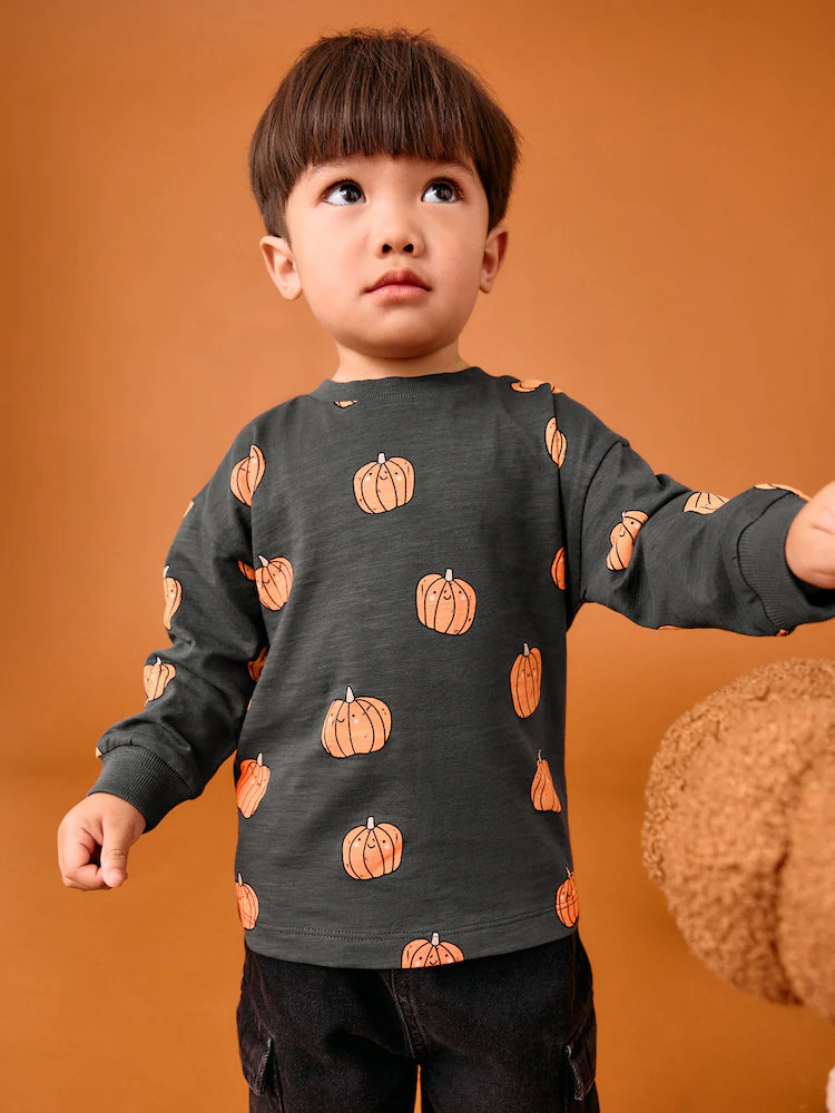 |Boy| Camiseta De Halloween Com Estampa Gráfica De Manga Comprida e Abóbora Cinza/Laranja (3 meses a 7 anos)
