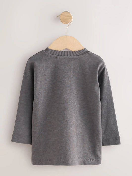 |Boy| Camiseta Cinza Com Slogan De Manga Comprida e Lisa (3 meses a 7 anos)