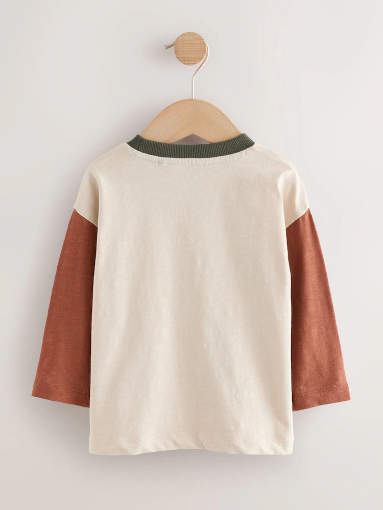 |Boy| Camisetas De Manga Comprida Multiminerais, Pacote com 5 (3 meses a 7 anos)