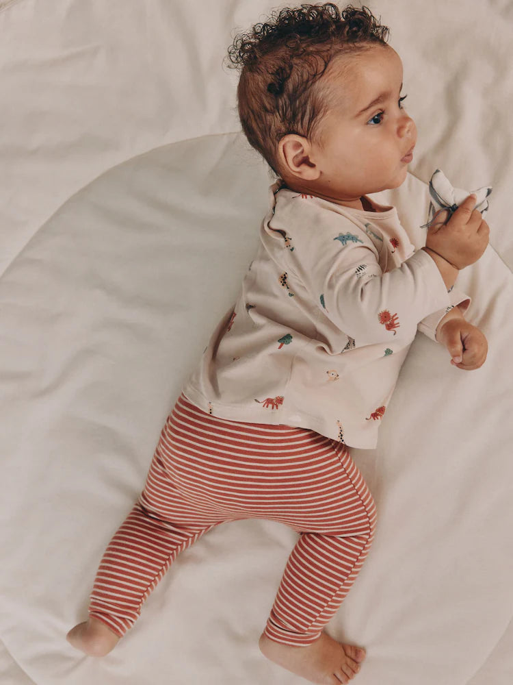 |BabyBoy| Conjunto De 8 Peças De Blusas e Leggings Mineral Little Cub Baby (0 meses a 2 anos)