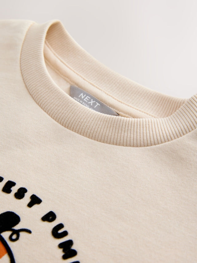 |Boy| Moletom De Halloween Com Estampa De Abóbora Crua (3 meses a 7 anos)