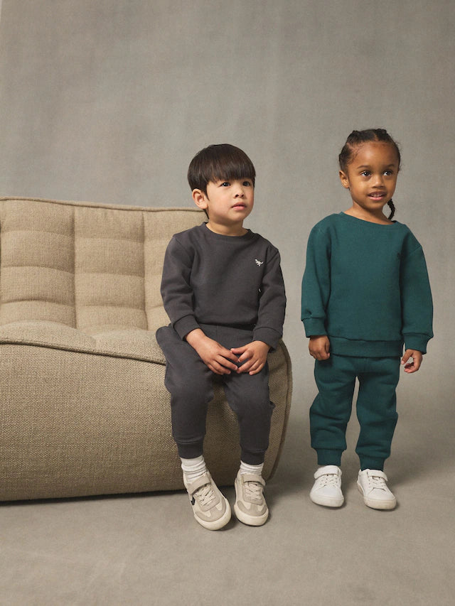 |Boy| Conjunto De Moletom e Calça Jogger Cinza Carvão/Verde, Pacote Com 2 (3 meses a 7 anos)