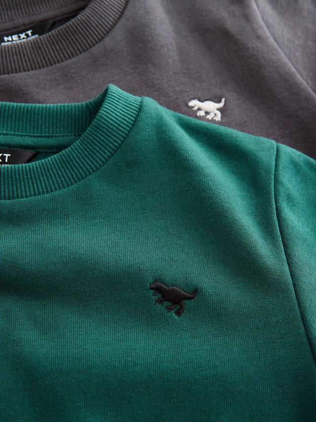 |Boy| Conjunto De Moletom e Calça Jogger Cinza Carvão/Verde, Pacote Com 2 (3 meses a 7 anos)