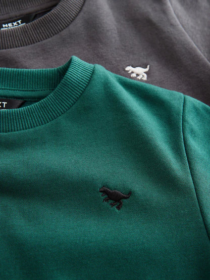 |Boy| Conjunto De Moletom e Calça Jogger Cinza Carvão/Verde, Pacote Com 2 (3 meses a 7 anos)