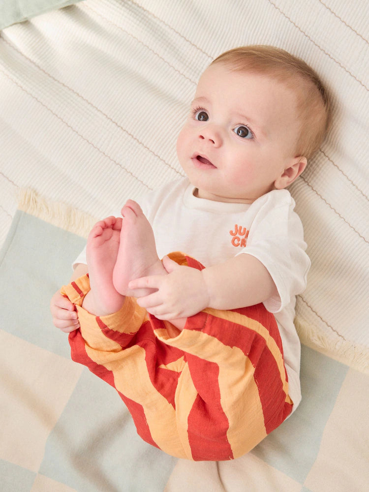 |BabyBoy| Conjunto Para Bebê Com Blusa e Calça Listradas Laranja Com Estampa De Animais Da Savana (0 meses a 2 anos)