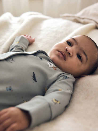 |BabyBoy| Pacote Com 5 Macacões De Bebê com Estampa De Personagem Azul (0-2 anos)