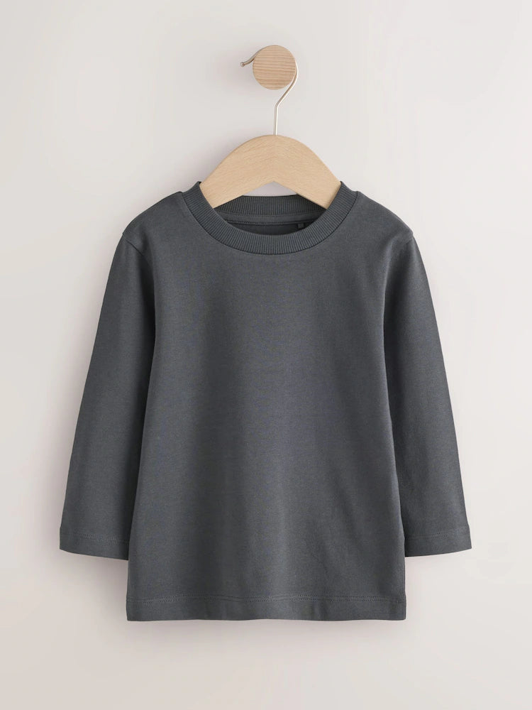 |Boy| Camiseta Lisa de Manga Longa Cinza-Chumbo (3 meses a 7 anos)