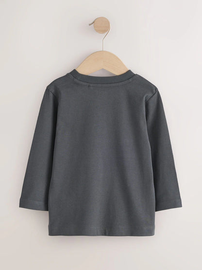 |Boy| Camiseta Lisa de Manga Longa Cinza-Chumbo (3 meses a 7 anos)