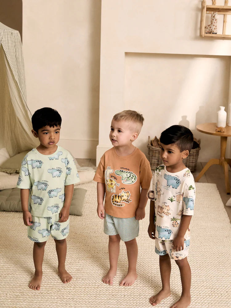 |Boy| Conjunto De 3 Pijamas Curtos Com Estampa Animal Nas Cores Marrom, Creme e Verde-sálvia (9 meses a 8 anos)