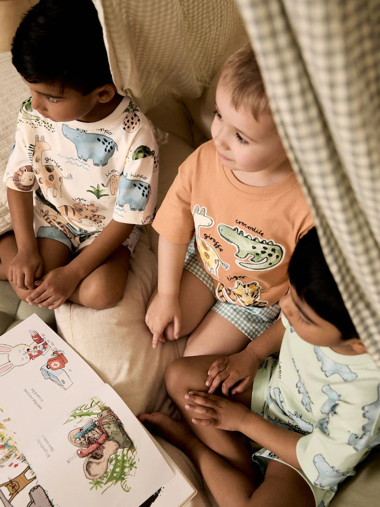 |Boy| Conjunto De 3 Pijamas Curtos Com Estampa Animal Nas Cores Marrom, Creme e Verde-sálvia (9 meses a 8 anos)