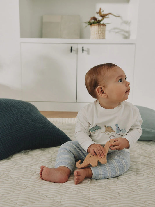 |BabyGirl| Conjunto de Blusa e Legging de Dinossauro Azul para Bebê (0 meses a 2 anos)