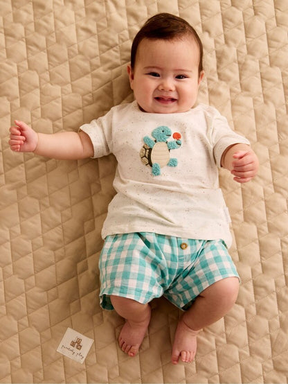 |BabyBoy| Conjunto De Camiseta e Short Purebaby Green Gingham Turtle 100% Algodão